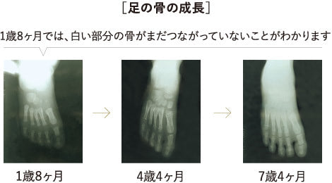 知っていますか 赤ちゃんの足のこと ミキハウスオフィシャルサイト