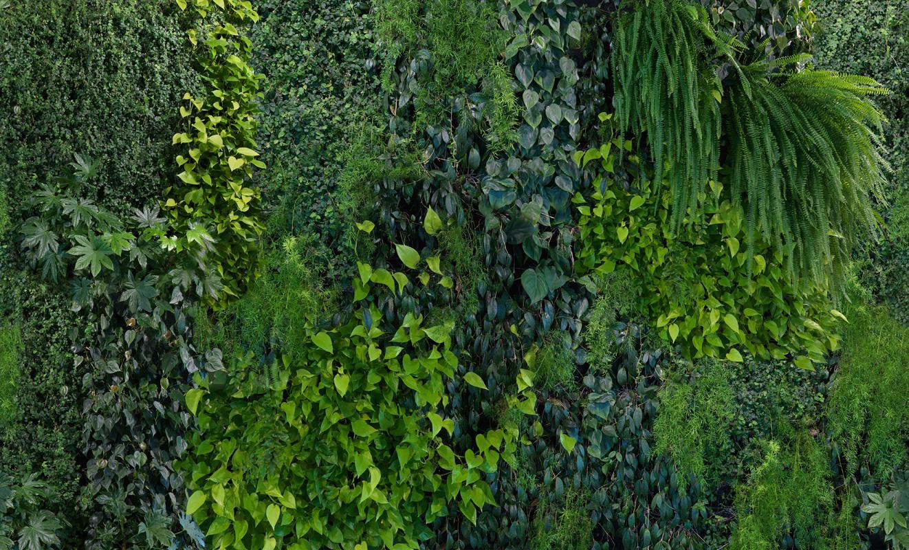 How a Vertical Garden Can Improve Your Health