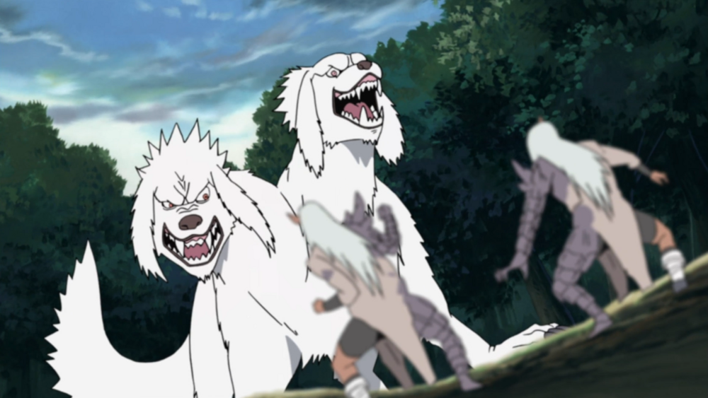 Akamaru technique spéciale