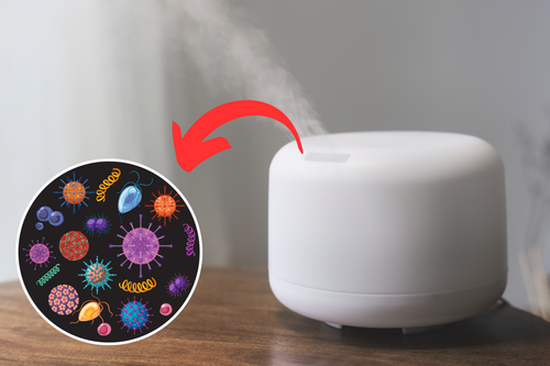 Humidifier Bacteria and Virus
