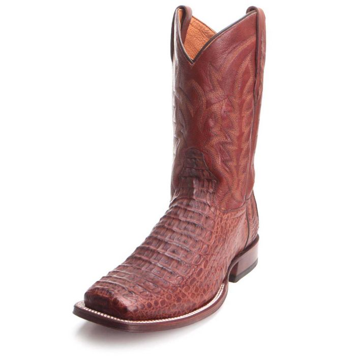 tony lama caiman boots