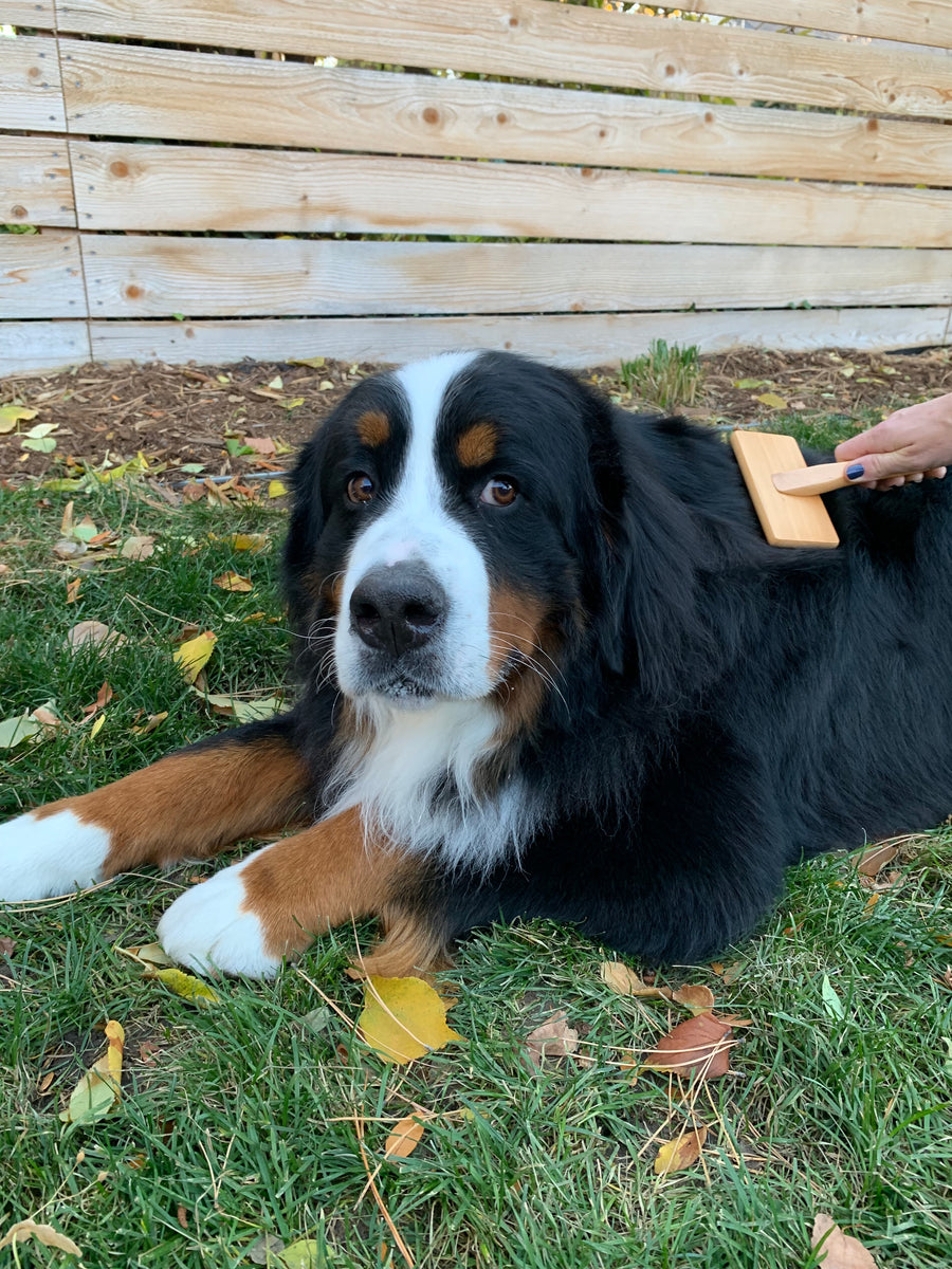 Bamboo Grooming Brush for Pets - Slicker Brush