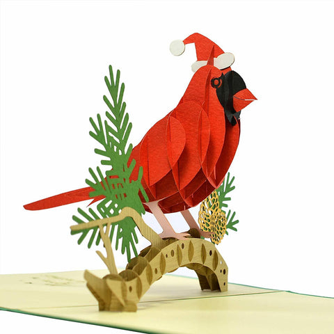 Collection of Cardinal birds in 3D greeting Popup card