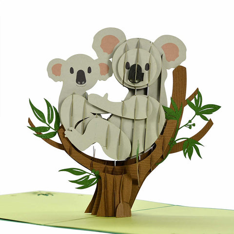 Habitat and characteristics of Koala