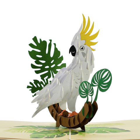 Meaning and symbol of Cockatoo