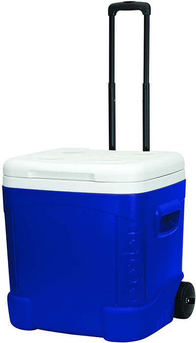 IceMule Classic Cooler – SHANULKA Home Decor