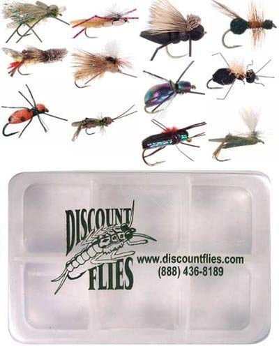 60PCS Fly Fishing Wet Dry Flies Assortment Kit for Trout Fishing Lures with  Box