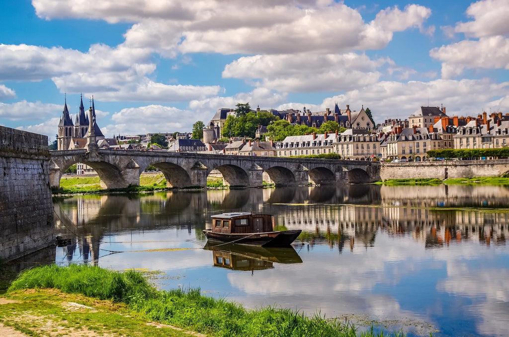 Blois et les châteaux de la Loire