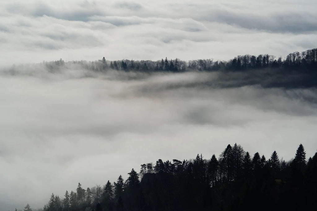 Brouillard dans les paysages montagneux du Jura