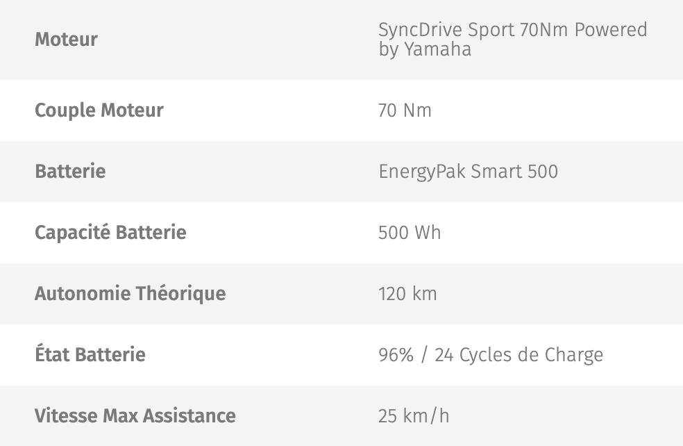 Information batterie vélo électrique par Loop Sports