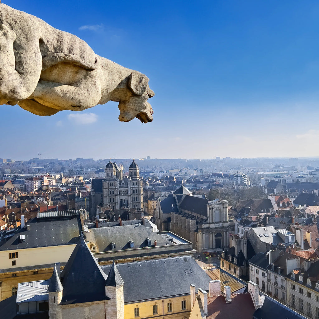 Dijon une ville connue pour sa moutarde mais pas uniquement