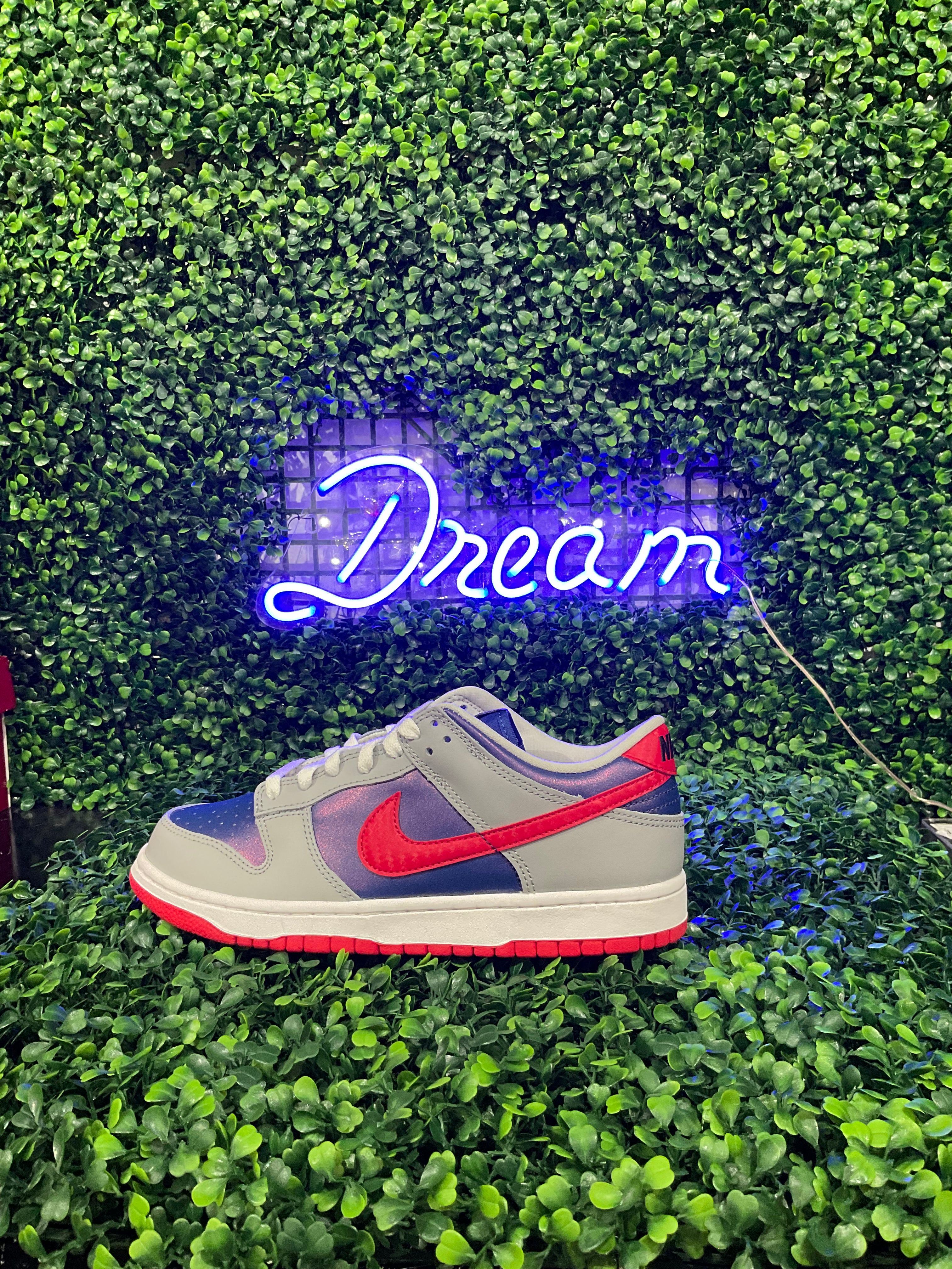 Nike Dunk Low Samba