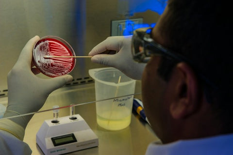 Person Holding Working At a Lab