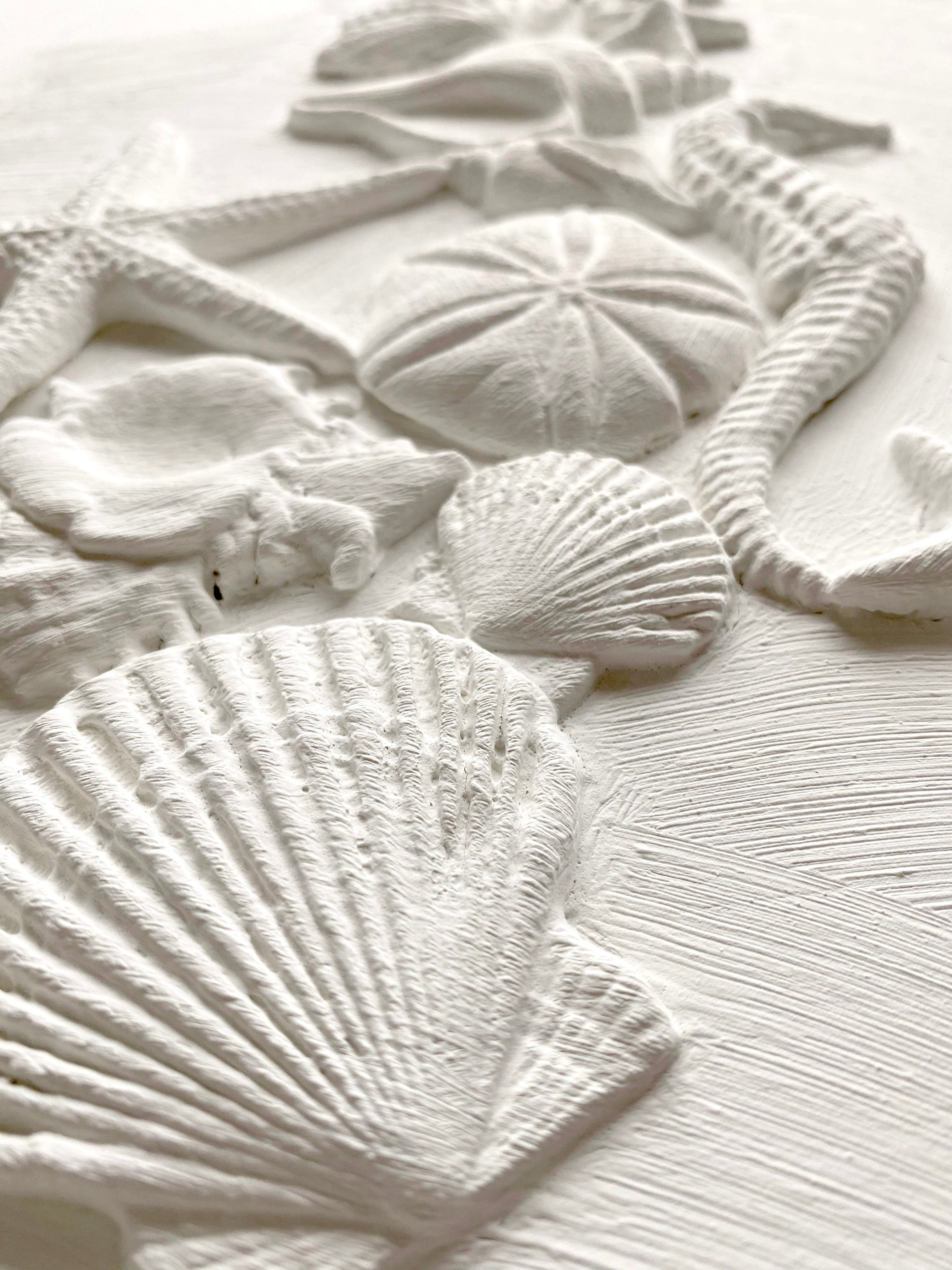  Sea Shells Décor Moulds - Iron Orchid Design 