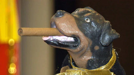 Triumph the Insult Comic Dog.