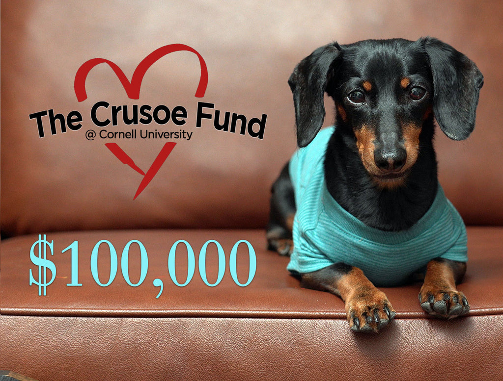 The Crusoe Fund Cornell 100,000 dollars raised