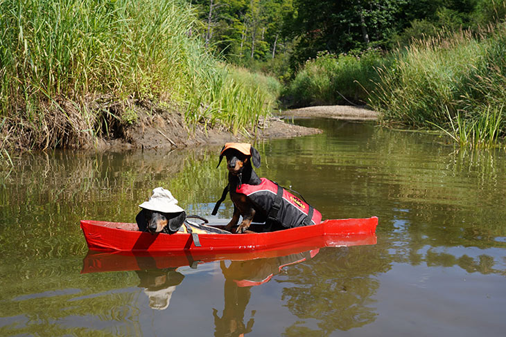 canoe sequence 1