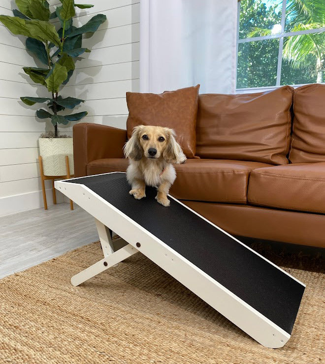 Dog ramps for couch and bed