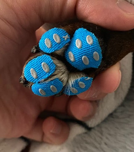 Paw pad grip stickers for senior dogs slipping