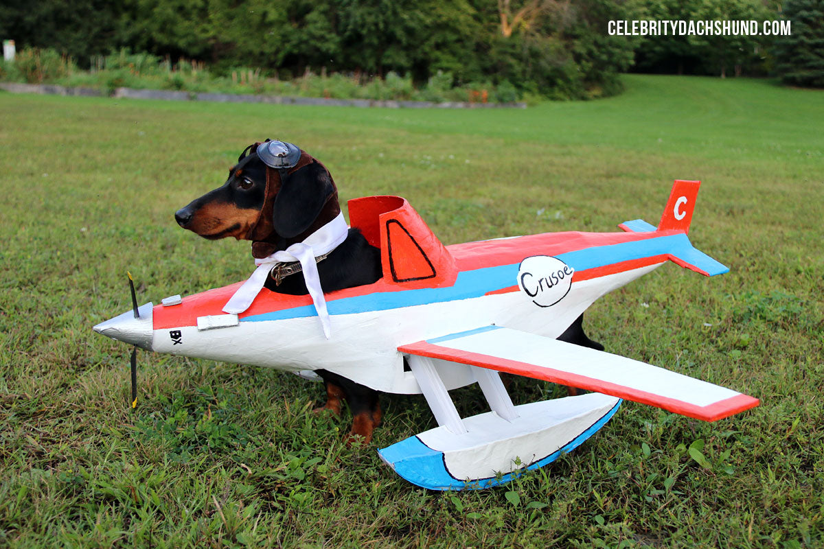 Dachshund Airplane Costume