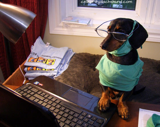 Crusoe on the computer