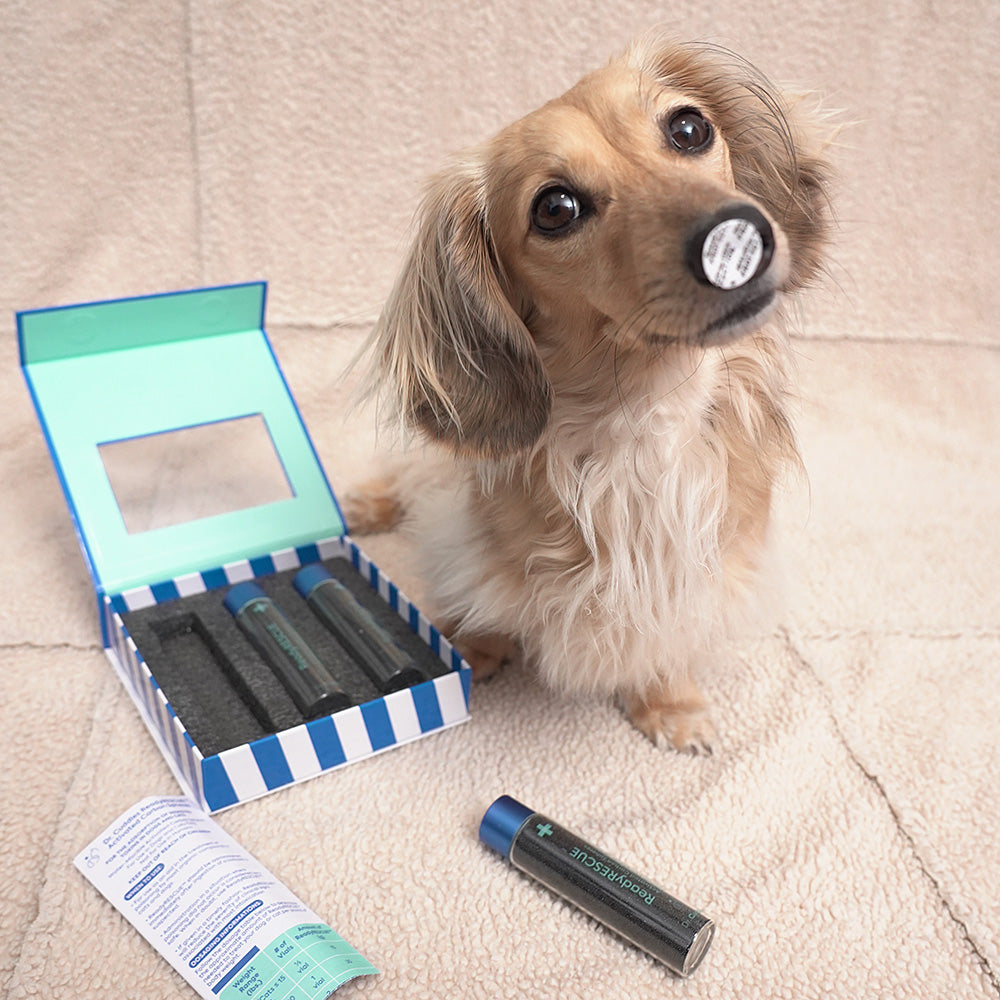 dachshund readyrescue activated carbon charcoal for home emergencies