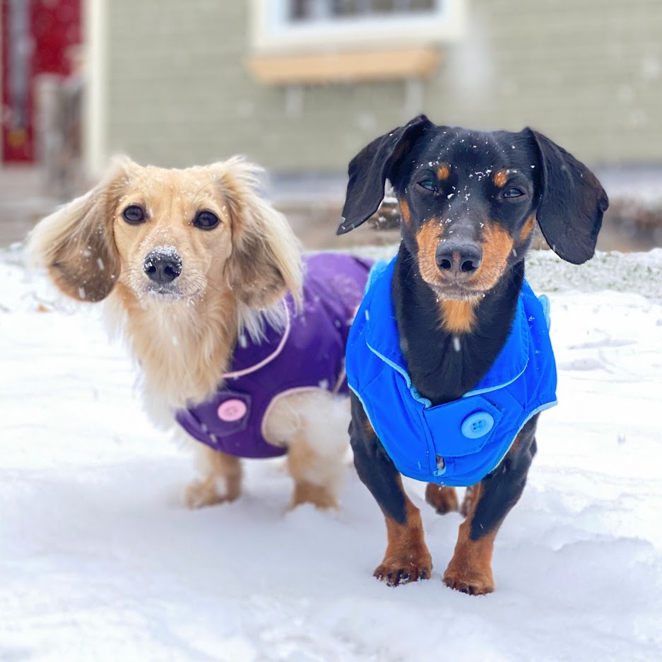 Crusoe in winter jacket