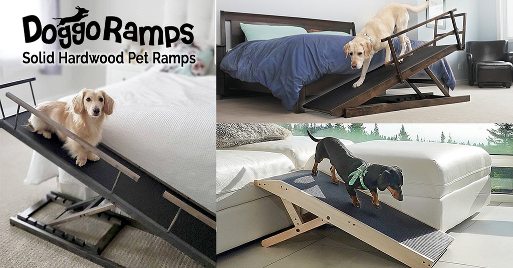 dog ramp for bed and couch