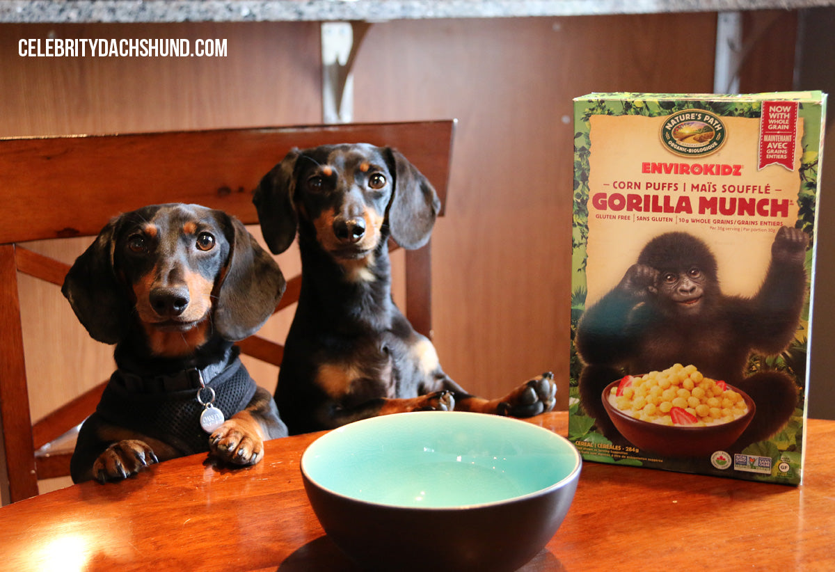 Gorilla Munch Cereal