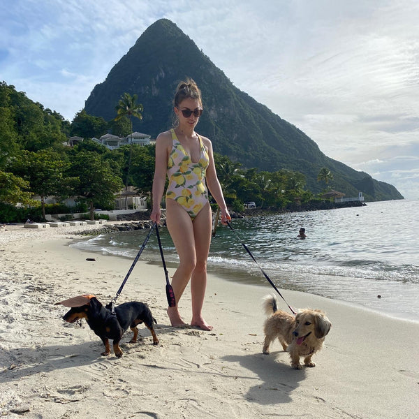 Traveling with dogs to St. Lucia Caribbean