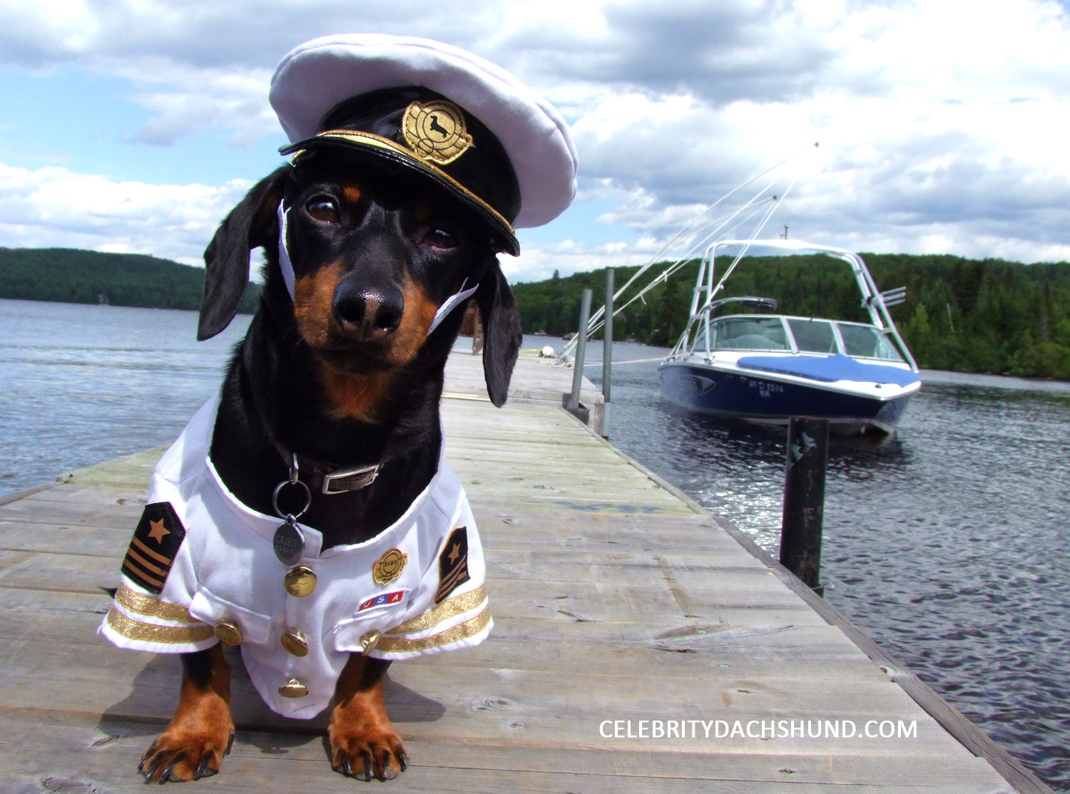 Introducing Captain Crusoe!