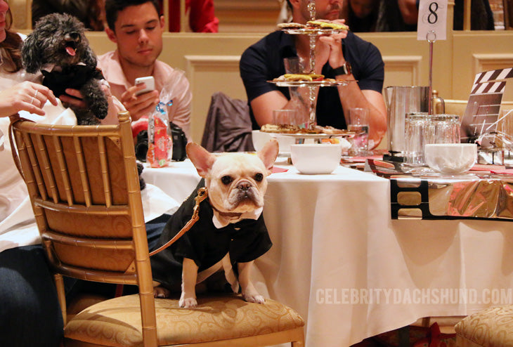 Woofstock High Tea Toronto