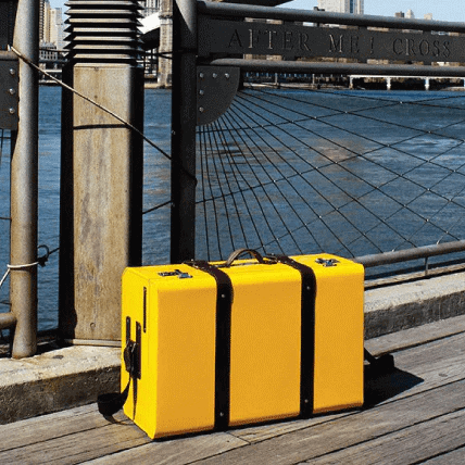 Buy Steamer Trunk Online  Travel Trunk Luggage – Nappa Dori