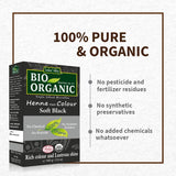 ORGASURE Natural Organic Henna Powder for Hair colour  Pure Rajasthani  Mehandi  200g