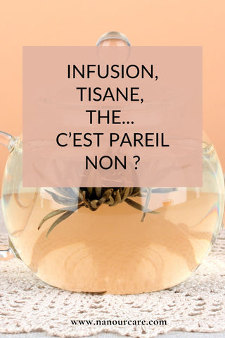 Tisanes et infusions : quelles différences ?