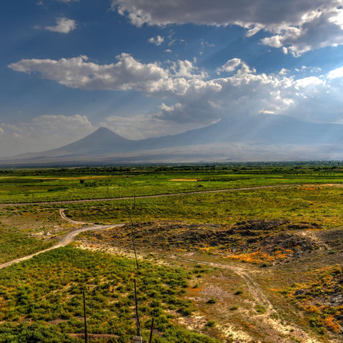 Vue sur le mont Ararat
