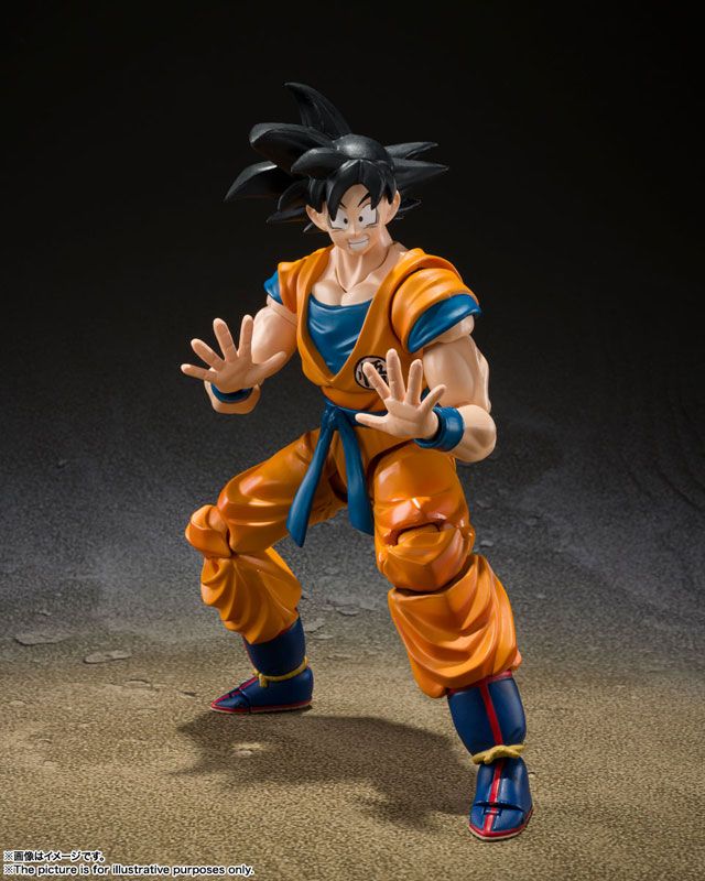 sh figuarts son goku