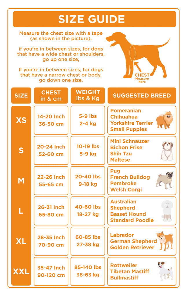 Size chart Personalised Dog Harness | Raiana's Vibes