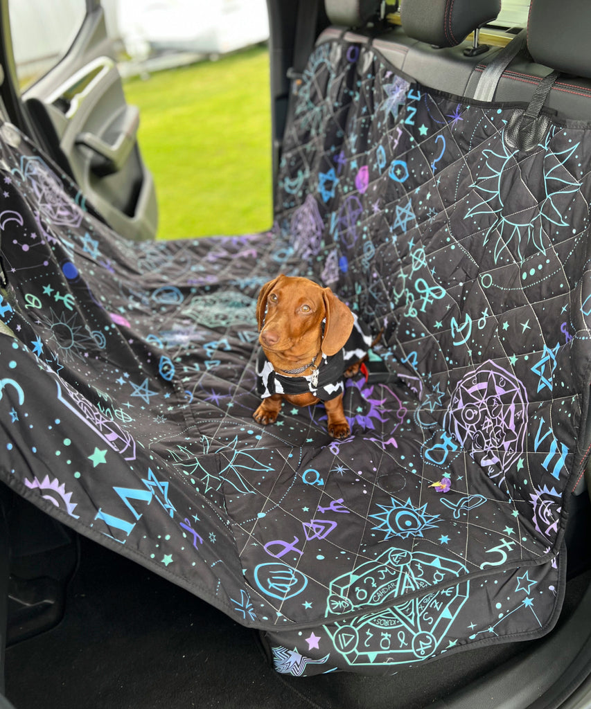 Dog seating on a back seat cover for dogs | Raiana's Vibes