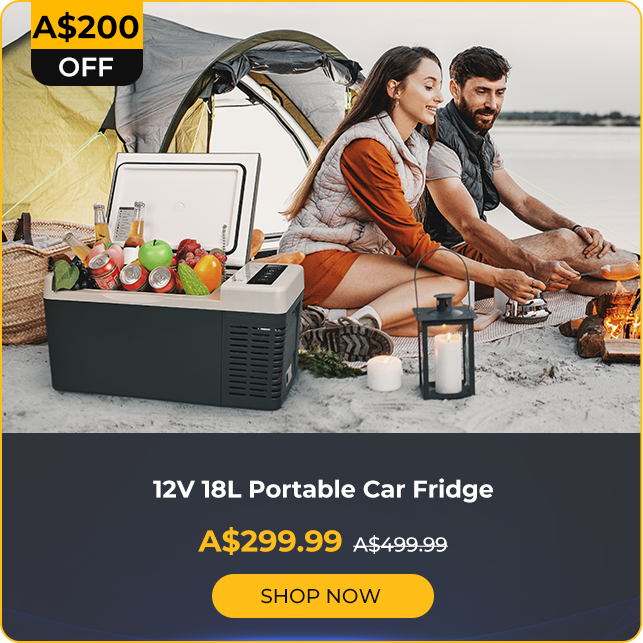 12V 18L Portable Fridge/Freezer For Day Trips