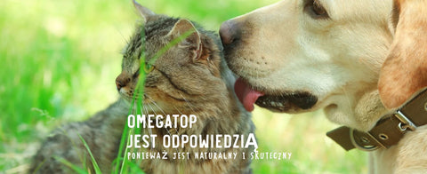 Omegatop produkty dermatologiczne dla psów i kotów