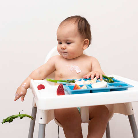 fussy eater with our bento plates