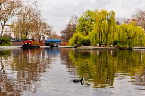 Little Venice.png__PID:8ee10973-d871-4b66-95db-708c7dfc4fd6