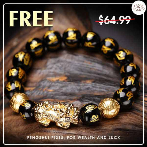 FREE Today: The Source of Wealth PiXiu Bracelet FREE FREE 1