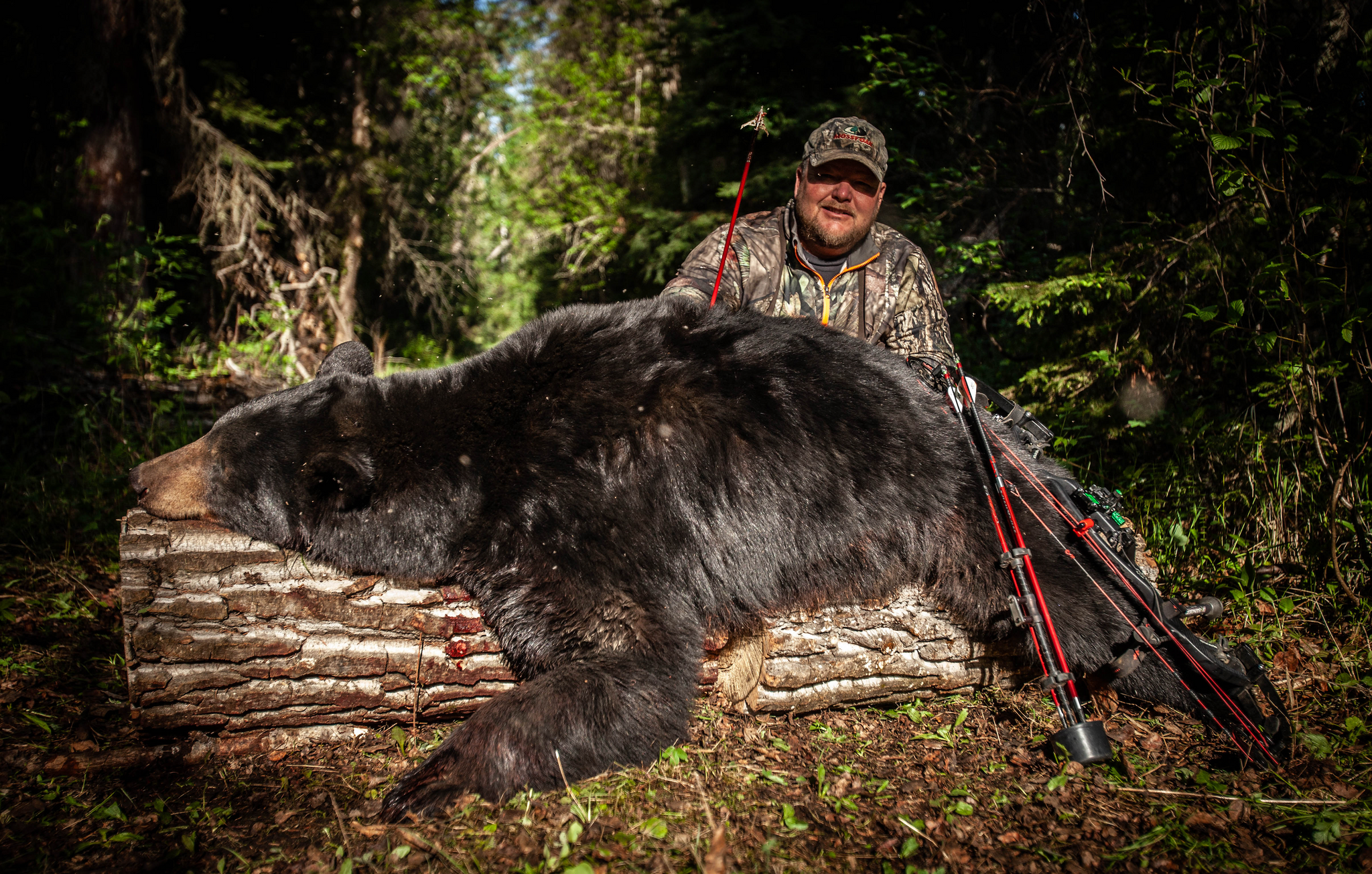 hunting, photography, water, fishing, camera, filming, hunt, bear, 