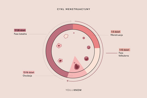 Co to jest cykl miesiączkowy? ilustracjami – Your KAYA