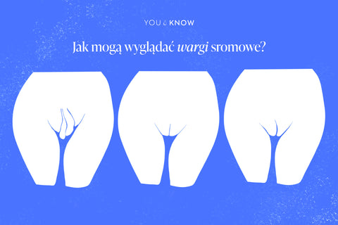 ilustracja: wygląd warg sromowych