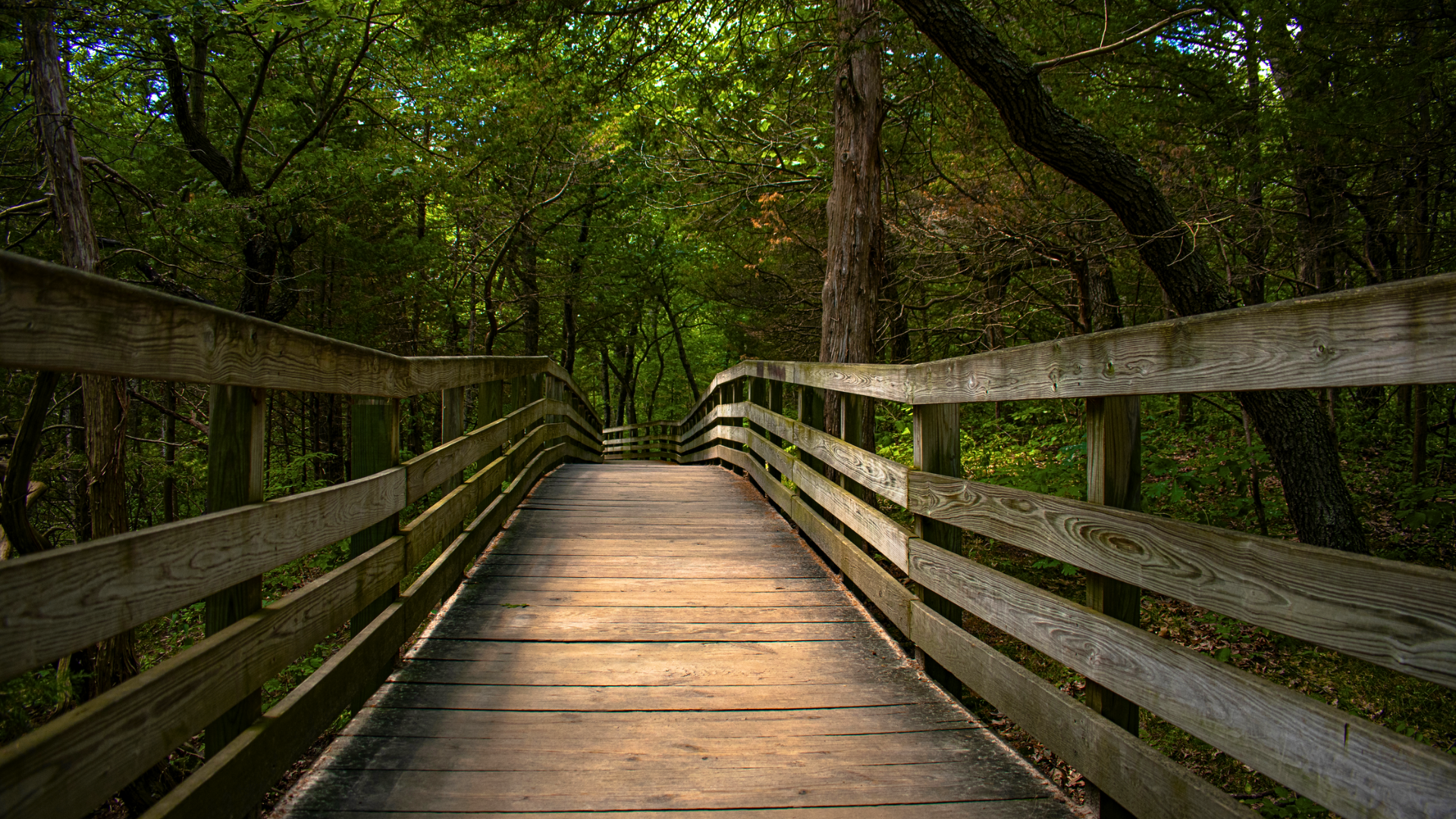 wood bridge