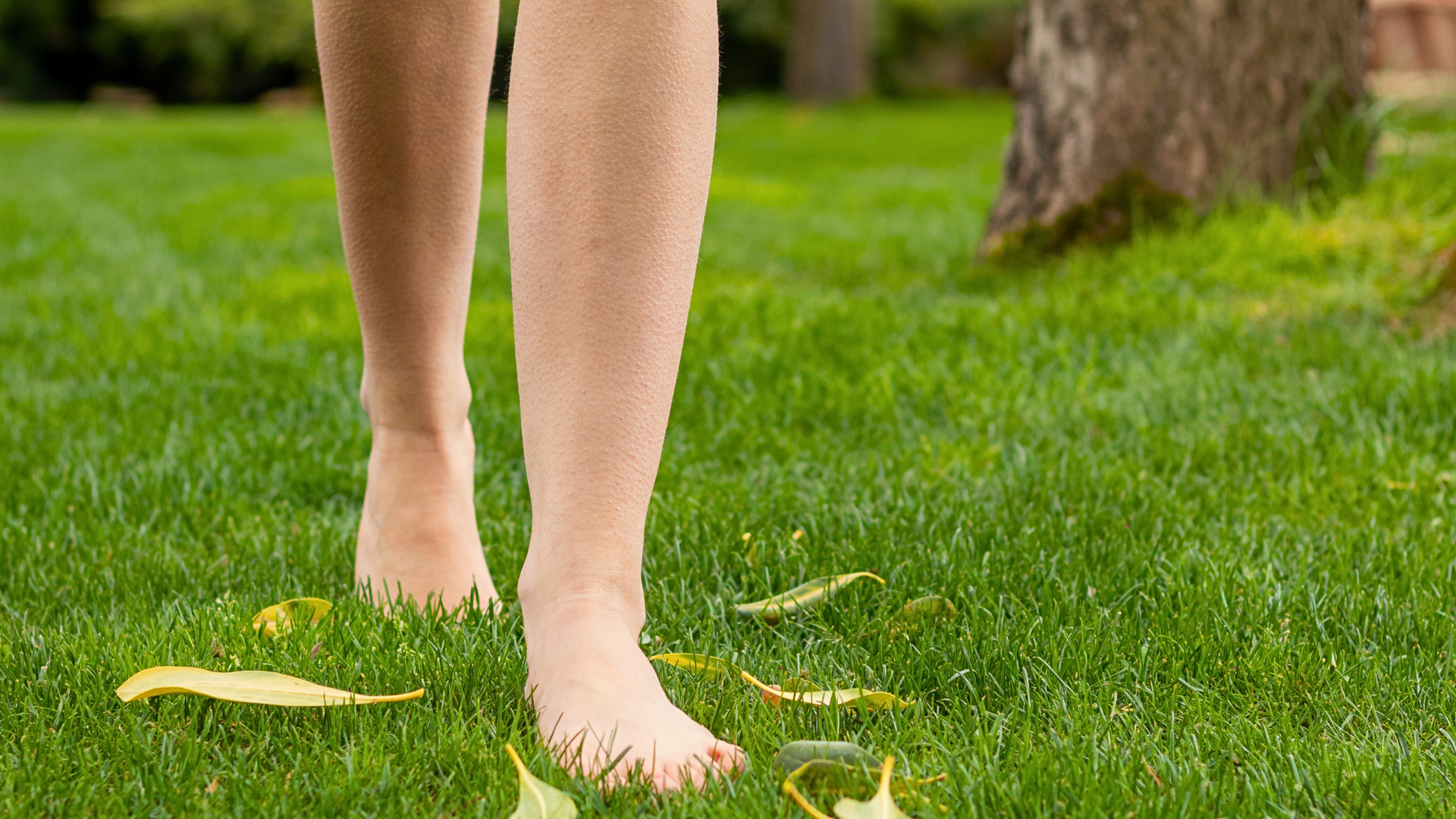 person in barefoot on the grass
