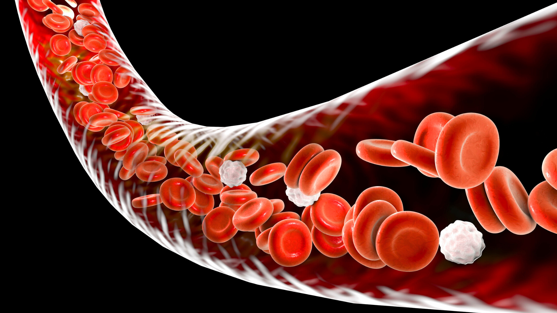 graphics of a red blood cells flowing